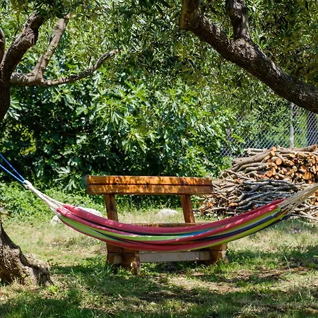 公寓 With Parking Space Punta Kriza, Cres - 867 Punta Križa