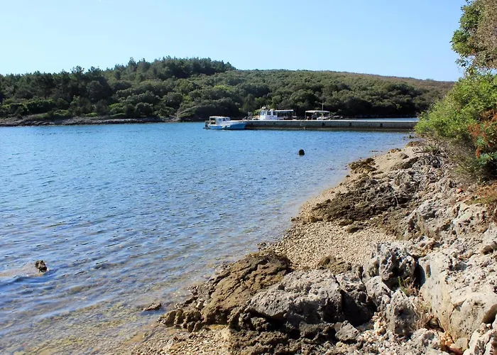With Parking Space Punta Kriza, Cres - 867 Apartment *