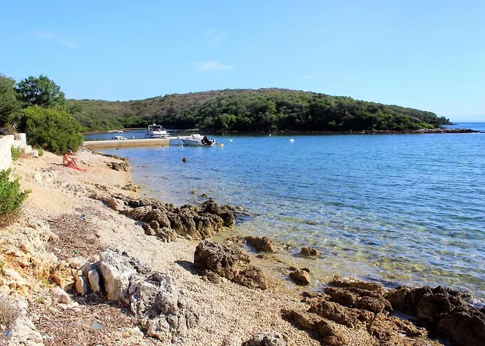 With Parking Space Punta Kriza, Cres - 867 Διαμέρισμα Punta Križa